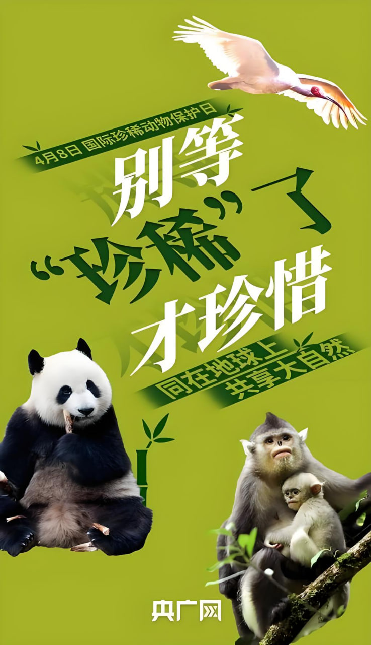 动漫资讯